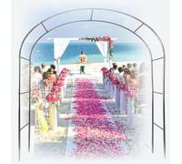 Stainless Steel Rose Arches with Wide Wisteria Support Frame Durable Rust Proof Anti Corrosion Strong Metal for Veg Growing 3.2M x 2.4M (19Mm with Base), Litobnx, 25mm, w 2.0M * h 2.4 m