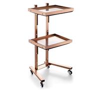 Stainless Steel Salon Tray on Wheels, Collapsible Utility Cart 2 Tier Foldable Rolling Stand for Spa Barber Tattoo Medical Dental Use