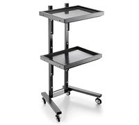 Stainless Steel Salon Tray On Wheels Collapsible Utility Cart 2 Tiers Foldable Storage Stand For Salons Spas Barbershops Tattoo Medical Dental