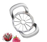 Stainless Steel Slicer, Fruit Cutter Slicer | Fruit Corer and Slicer,Vegetable Chopper and Pitters, Heavy Duty Core Removal Tool, Potato Divider for Apples Pears and Peaches