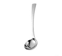 Stainless Steel Spoon 20cm with Liquid Drainer Stainless Steel(Spoon A)