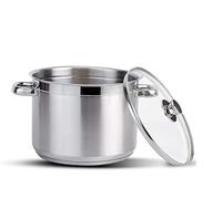 Stainless Steel Stock Pot with Vented Glass Lids- Deep Two Tone Silver Pot, Induction Base (22 cm Diameter - 6.5 Litre)