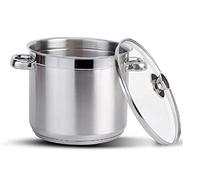 Stainless Steel Stock Pot with Vented Glass Lids- Deep Two Tone Silver Pot, Induction Base (26 cm Diameter - 12 Litre)