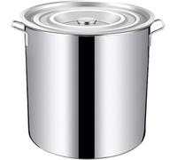 Stainless Steel Stockpot with Lid, 25cm Diameter and Height, 10.6 Gallon, Large Deep Induction Casserole for Soups, Stews, and Pasta