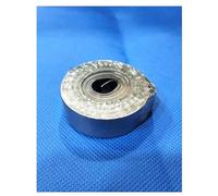 Stainless Steel Strip/Patti for Negate The Harmful Effects of Unbalanced Toilets and Entrance & Balance The Air Element