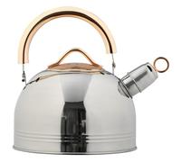 Stainless Steel Tea Kettle Silver Large Capacity Whistling