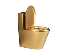 Stainless Steel Toilet, Double Flush Siphon, High-Efficiency Water-Saving, Anti-Freeze and Crack-Resistant, Ideal for Commercial and Public Bathrooms