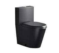 Stainless Steel Toilet, Double Flush Siphon, High-Efficiency Water-Saving, Anti-Freeze and Crack-Resistant, Ideal for Commercial and Public Bathrooms