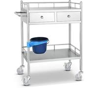 Stainless Steel Tool Cart with Wheels, 2-Tier Mobile Kitchen Trolley for Lab, Clinic, Indoor & Outdoor Use - Durable & Versatile Utility Cart