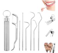 Stainless Steel Toothpick Set 7 Pcs,Stainless Steel Toothpick Set,Portable Stainless Steel Toothpicks Pocket Set,Reusable Metal Toothpicks Cleaning Kit with Holder,Stainless Steel Toothpick (1set)