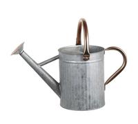 Stainless Steel Watering Can 1.3 Gallon/5L - Large Metal Watering Can with Removable Spout and 2 Handles for Outdoor & Indoor Plants, Silver