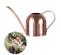 Stainless Steel Watering Can, Small Long Mouth Watering Pot for House Indoor Outdoor Garden Succulent Plants 500ML (Rose Gold)