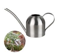 Stainless Steel Watering Can, Small Long Mouth Watering Pot for House Indoor Outdoor Garden Succulent Plants 500ML (Silver)