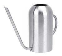 Stainless Steel Watering Can with Long Spout and Handle for House Plants, Modern Style Indoor Watering Pot for Succulents, Bonsai, 53oz/1.5L