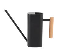 Stainless Steel Watering Can with Long Spout, Indoor Plant Watering Can, Decorative Square Design with Wooden Handle for House Plants Bonsai Outdoor Garden Flower Care (Black 800ML)