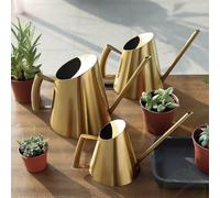 Stainless Steel Watering Can with Slender Long Spout for Accurate Water Placement on For Indoor Anthurium Outdoor Salvia (1500ML gold)