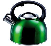 Stainless Steel Whistling Kettle 2.5L - Fast Boil Kettle Suitable for Gas Stove, Ceramic, Electric, Halogen - Lightweight Camping Kettle with Heat Resistant Handle (Green)