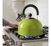 Stainless Steel Whistling Kettle, Fast-Boil Stovetop Tea Kettle, 2.5L or 3.5L, Metallic Green or Black & Chrome (Green Camping, 2.5L)