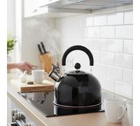 Stainless Steel Whistling Kettle, Fast-Boil Stovetop Tea Kettle, 2.5L or 3.5L, Metallic Green or Black & Chrome (Mettalic Black, 2.5L)