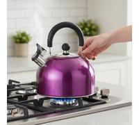 Stainless Steel Whistling Kettle, Fast-Boil Stovetop Tea Kettle, 2.5L or 3.5L, Metallic Green or Black & Chrome (Pink Camping, 2.5L)