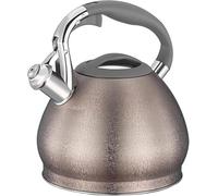 Stainless Steel Whistling Tea Kettle - Durable Stovetop Teapot with Anti-Heat Handle for Boiling Water, Perfect for Everyday Use