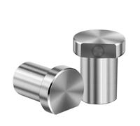 Stainless Steel Workbench Peg Brake Stop 19/20mm Limit Block for Routing Cutting Sanding Secure Non-Slip Clamping Pad Woodworking
