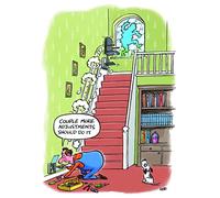 STAIRLIFT ADJUSTMENTS COUNTRY HUMOUR BIRTHDAY CARD - 10815 HB