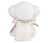 Stakee Cute Bear Towel Super Absorbent Towel Soft Towel Microfiber Travel Towel Multipurpose Towel for Party Gift