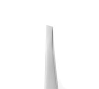 Staleks Pro Eyebrow tweezers Expert 10 Type 3