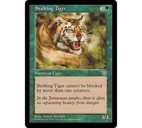 Stalking Tiger | Mirage