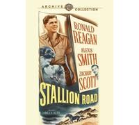 Stallion Road (DVD) Zachary Scott Alexis Smith Ronald Reagan (US IMPORT)
