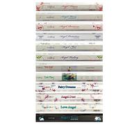 Stamford 37345 Angel Variety Set Incense Sticks - 12 Packs x 15 Sticks