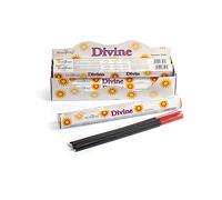 STAMFORD INC 37527 Divine Incense, 20 Sticks x 6 Packs, Black, One Size