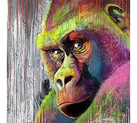Stamped Cross Stitch kit DIY Embroidery Starter Kit Gorilla Color Embroidery Art 11CT Pre-Printed Cross Stitch Crafts Adult Beginner Needlework Kids Gift Home Decor,40x50cm
