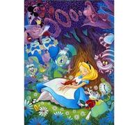 Stamped Cross Stitch Kit, Fairy Tale Princess in Wonderland 11CT Cross Stitch Stamped DIY Embroidery Starter Kit Beginner Adult Embroidery Set Perfect Ornament 40x50cm