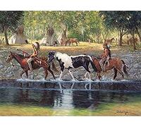 Stamped Cross Stitch Kit for Adults Beginners Native American Horse 16X20 inch 11CT Counted Cross Stitch Embroidery Kits For living room bedroom art decoration Perfect Valentine's Day Gift