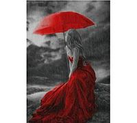 Stamped Cross Stitch Kit for Adults Beginners Woman in Red Dress 16X20 inch 11CT Counted Cross Stitch Embroidery Kits For living room bedroom art decoration Perfect Valentine's Day Gift