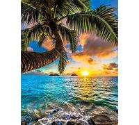 Stamped Cross Stitch Kit with Fabric DIY Embroidery Kits for Beginners Children & Adults with 11CT Printed Pattern Sunrise by The sea 40 * 50cm