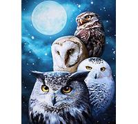 Stamped Cross Stitch Kit with Fabric DIY Embroidery Kits for Beginners Children & Adults with 11CT Printed Pattern Animal owl 40 * 50cm