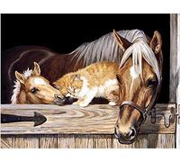 Stamped Cross Stitch Kit with Fabric DIY Embroidery Kits for Beginners Children & Adults with 11CT Printed Pattern Animal Horse 40 * 50cm