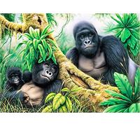 Stamped Cross Stitch Kit with Fabric DIY Embroidery Kits for Beginners Children & Adults with 11CT Printed Pattern Animal Gorilla 40 * 50cm