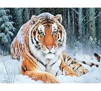 Stamped Cross Stitch Kit with Fabric DIY Embroidery Kits for Beginners Children & Adults with 11CT Printed Pattern Animal Tiger 40 * 50cm