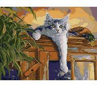 Stamped Cross Stitch Kit with Fabric DIY Embroidery Kits for Beginners Children & Adults with 11CT Printed Pattern Animal cat 40 * 50cm