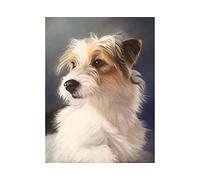 Stamped Cross Stitch Kits Adults Beginner-Jack Russell Terrier-Starter Patterns for Beginner Kids Or Adults, Embroidery Needlepoint Kits-16X20Inch