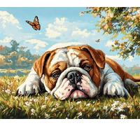 Stamped Cross Stitch Kits,English Bulldog Lying On The Grass 40x50cm (15.7x19.7in) Cross Stitch Ornament Kits For Adults Beginners, Counted Embroidery Needlepoint Kits Home Decor Adult Craft