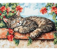 Stamped Cross Stitch Kits for Adults Beginners, Cat On The Wall 40X50Cm DIY Cross Stitch Patterns Kits Printed Dimensions Needlepoint Kits,Crafts Embroidery Kits for Home Decor Adult Craft K