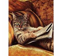 Stamped Cross Stitch Kits for Adults Beginners with Easy Funny Pattern UK cat Reading Newspaper 11ct DIY Embroidery Crafts for Needle Point Starter Kit Home Decor Wedding Gift（16×20inch)