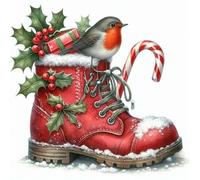 Stamped Cross Stitch Kits for Beginners Adults 11CT 3 Strands Needlepoint Printed 16x16 Inch Christmas Boots with Robin Embroidery Kits(11CT Without Frame)