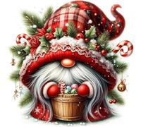 Stamped Cross Stitch Kits for Beginners Adults 11CT 3 Strands Needlepoint Printed 16x16 Inch Christmas Gnome Character Embroidery Kits(11CT Without Frame)