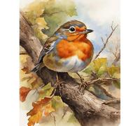 Stamped Cross Stitch Kits for Beginners Adults 11CT 3 Strands Printed 16x20 Inch Robin Bird Animal Embroidery Kits Without Frame